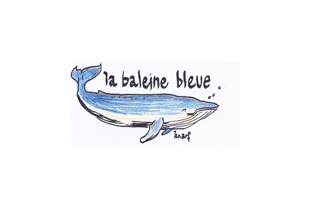 La Baleine Bleue Apartment Saint-Aubin-Sur-Mer  Bagian luar foto